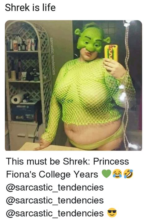 Shrek Is Life This Must Be Shrek Princess Fionas College