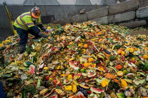 Check spelling or type a new query. Diverting food waste from landfills, Gasification vs ...