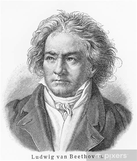 Невероятные приключения билла и теда (1989), исп. Fototapeta Ludwig van Beethoven • Pixers® • Žijeme pro změnu