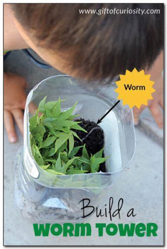 Diy Worm Tower Kids Can Make T Of Curiosity