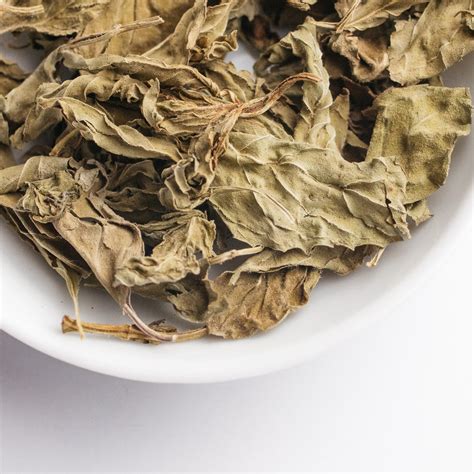 Dried Mint Leaves 10g Natures Apothecary