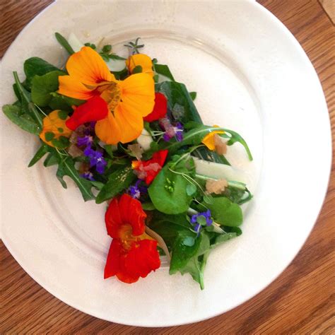 How to cook with edible flowers like nasturtiums, squash blossoms and more. #ChicEats: Let's Eat Flowers | Eat, Edible flowers, Food hacks