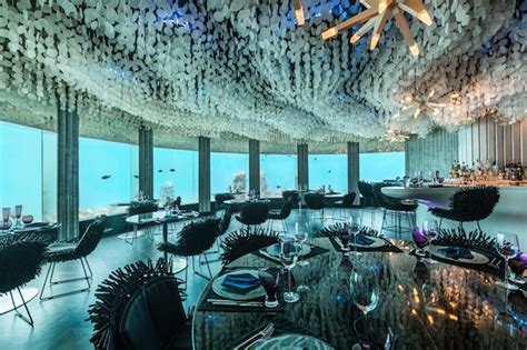 Stunning Underwater Restaurant Lets Guests Dine Next To Ocean Life