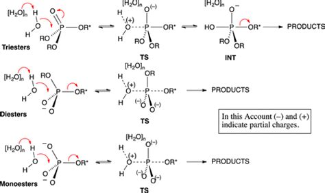Phosphate Ester Synthesis