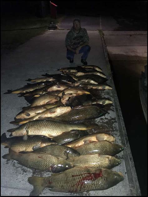 Maybe you would like to learn more about one of these? 2018 bowfishing pics