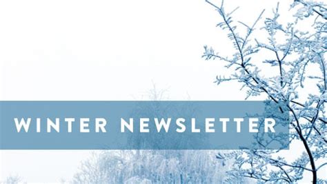 Winter Newsletter High Point Nc Piedmont Plastic Surgery