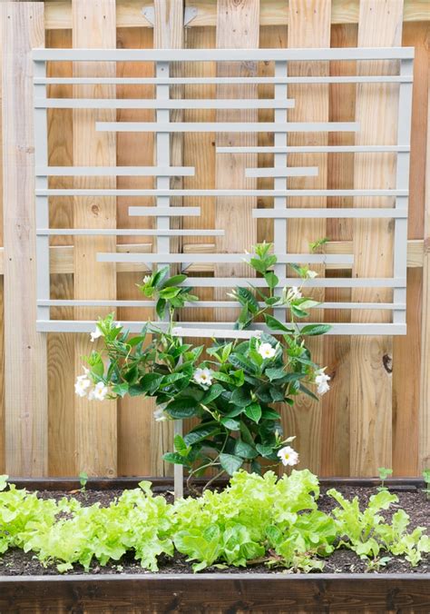 It certainly seems like it could be indestructible! DIY Trellis for Vines: Making a Modern Garden Trellis ...