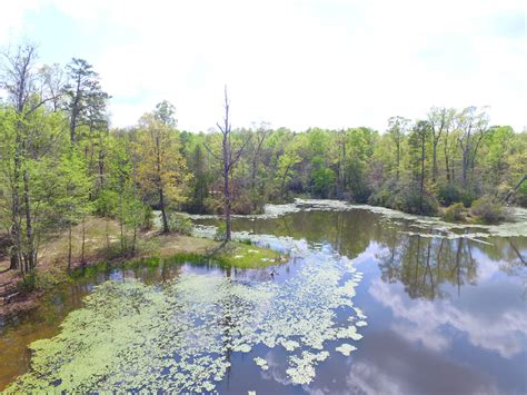 Adjoining 20 Acre Tracts With Large Pond Near Hwy 101 Metcalf Land