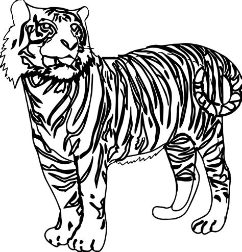 Looking Tiger Coloring Page