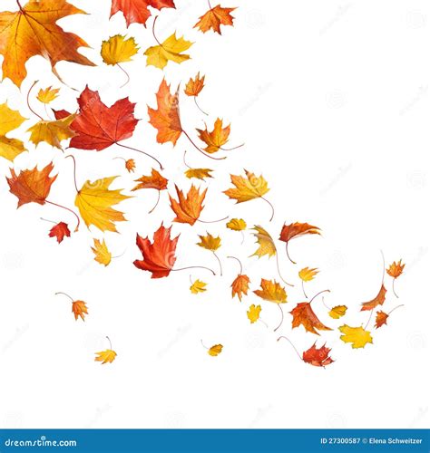 Autumn Falling Leaves Royalty Free Stock Photography Image 27300587