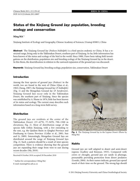 Pdf Status Of The Xinjiang Ground Jay Population Breeding Ecology