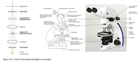 Modern Microscope Timeline Micropedia