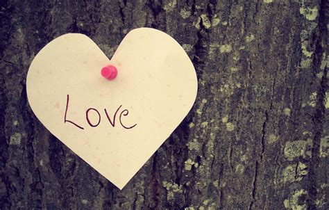 Wallpaper Love Tree Mood The Inscription Heart Love Heartfeeling