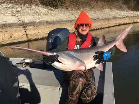 Jd Schooley On Twitter Oklahoma Is On The Rise For Big Paddlefish