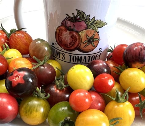 Heirloom Cherry Tomato Mix Heirloom Organic Tims Tomatoes