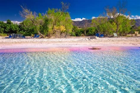10 Rare And Beautiful Pink Sand Beaches Around The World Travel Notes