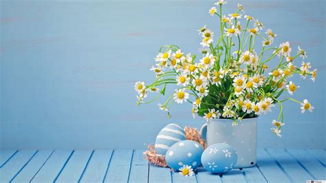 Flower Pot Images Wallpaper Hd Best Flower Site