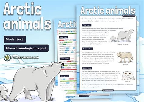 Year 2 Model Text Non Chronological Report Arctic Animals Gbsct