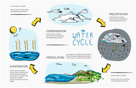 Water Cycle Hand Drawn Infographic Vector Illustration 207635 Vector