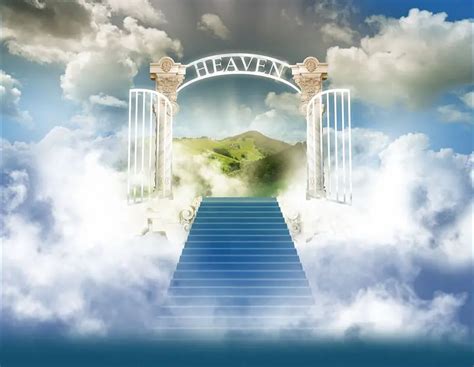 How Life In Heaven Functions Part 1 Of 3 Conscious Reminder