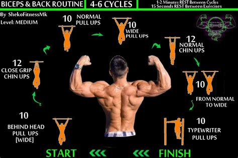 Bodyweight Back Biceps Workout Calisthenics Routine Calisthenics Routine Bar Workout