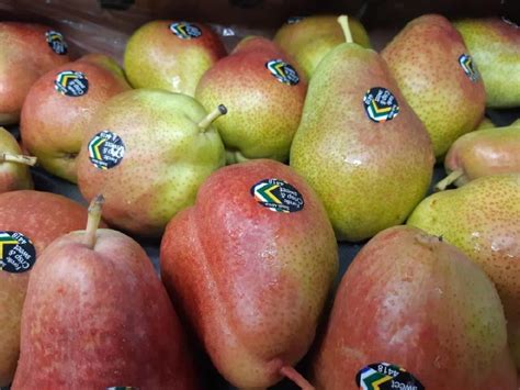 South Africa Forelle Pear Sold Per Piece — Horeca Suppliers Supplybunny