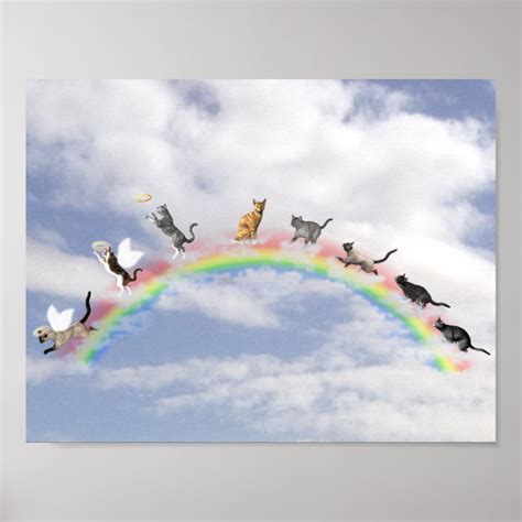 Cats Waiting At Rainbow Bridge Poster