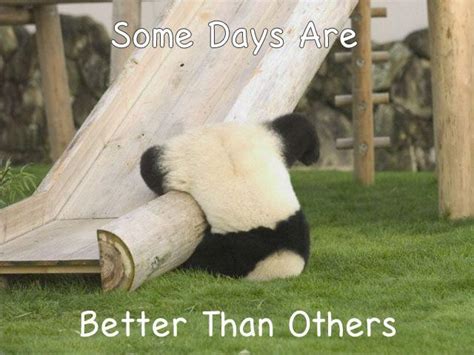Some Days Are Better Than Others Picture Quotes