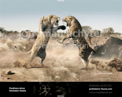 Panthera Atrox And Smilodon Fatalis By Rom U On Deviantart