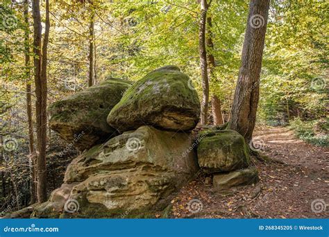 Path Stretching Next To Huge Rocks In The Forest With Dense Trees Stock