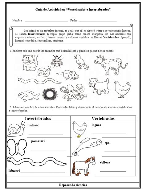 Guía De Actividades “vertebrados E Invertebrados”