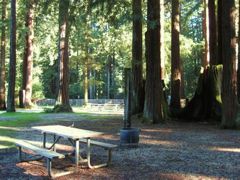 Pine gardens rv park tool tx. Smithwoods RV Park - 5 Photos, 1 Reviews - Felton, CA ...
