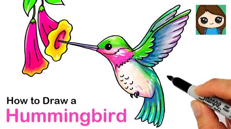How To Draw A Hummingbird Youtube