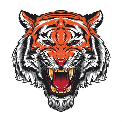 Tiger Profile Drawing | Free download on ClipArtMag