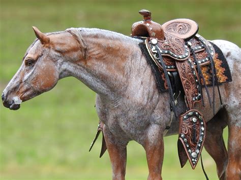 Flickrp2ike5vf Traditional Western Parade Saddle Horses