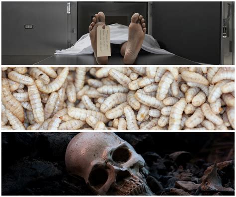 This Is What Happens To Your Body When You Die