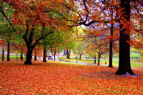 Usa Classic Fall Foliage With Globus Travel Advocates