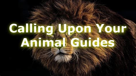 Calling Upon Your Animal Guides Youtube