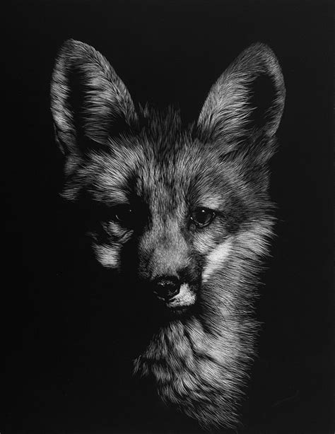 Pin On White Charcoal Drawings