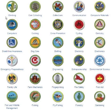 Public Merit Badge List Boy Scout Troop 142 Bardstown Kentucky