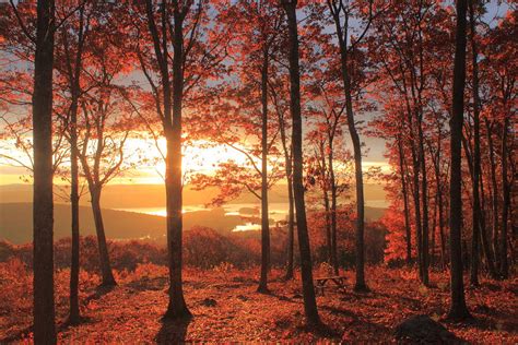 Quabbin Reservoir Oak Foliage Sunrise Photograph By John Burk Fine