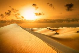 يجب التأكد من نظافة الطعام جيد ويجب ضرورة غسل الخضروات ولفاكهة بالماء. ما هي فصول السنة - FOUR SEASONS