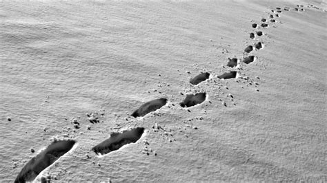 Debussy Footprints In The Snow Chiara Bertoglio Piano