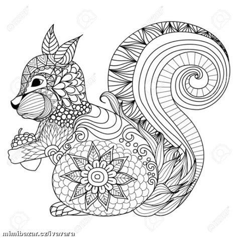 ANTISTRESOVÉ OMALOVÁNKY PODZIMNÍ Mimibazar.cz Squirrel coloring