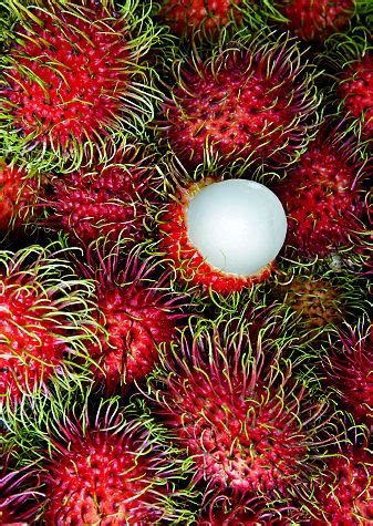 Not only an apple but fruits extend your lifeline; Weird, wacky and unusual fruits and vegetables | The Healthy Answer Help