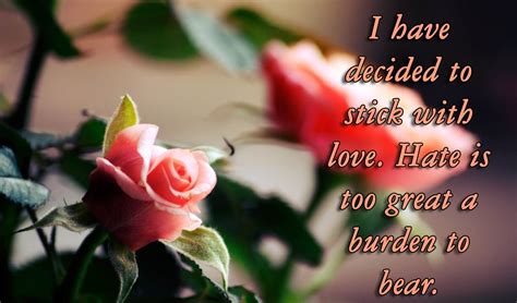 50 Best Rose Quotes To Show Your Love The Wow Style