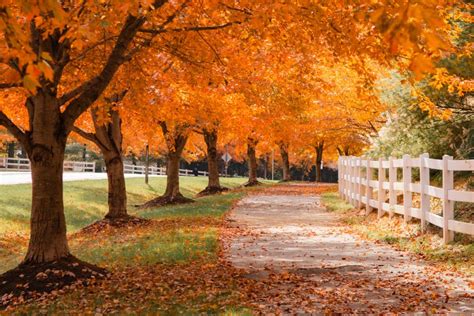 5 Places To See Beautiful Fall Foliage In Washington Dc 2023