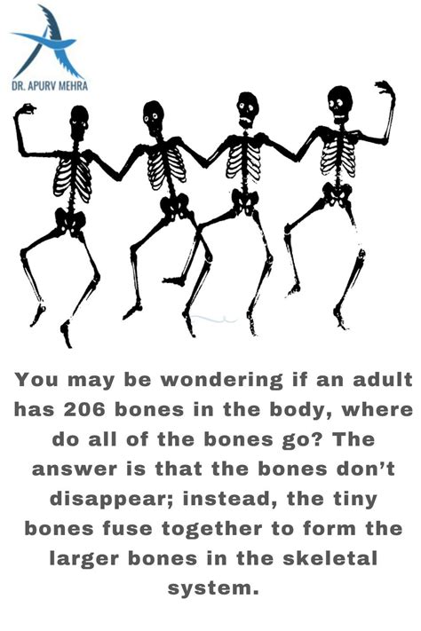 10 Fun Facts About The Skeletal System