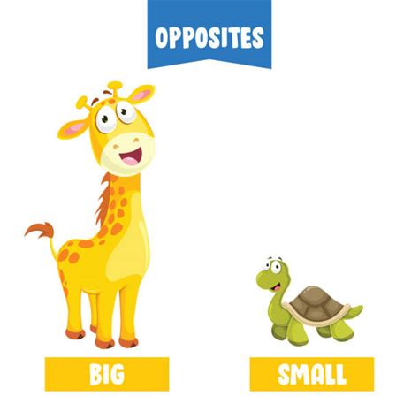 740 Big And Small Words Stock Illustrations Royalty Free Vector