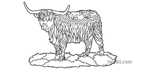 Highland Cow Mindfulness Colouring Animal Cattle Mammal Ks1 Black And White